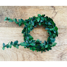 Lade das Bild in den Galerie-Viewer, Blätterkranz & Glas "Buxus" Set - Kerzenzubehör