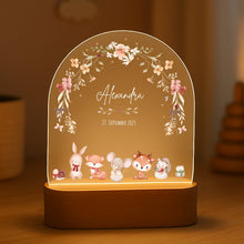 Charger l'image dans la galerie, Personalisiertes Nachtlicht für Babys mit Namen Datum Eule - Individuelle Geschenke Baby
